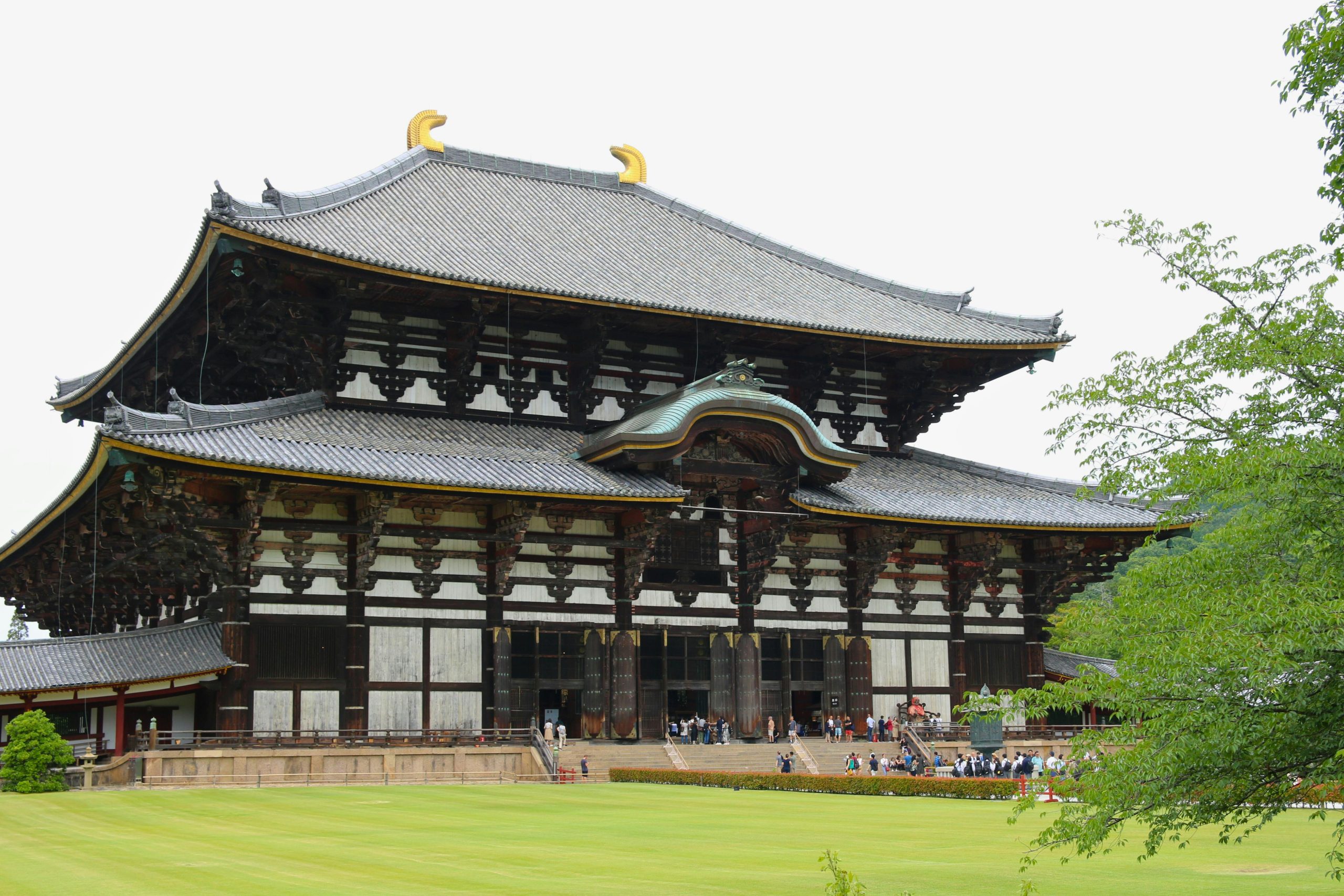 Stunning view of the Todaiji Temple, an iconic historic landmark in Nara, Japan.